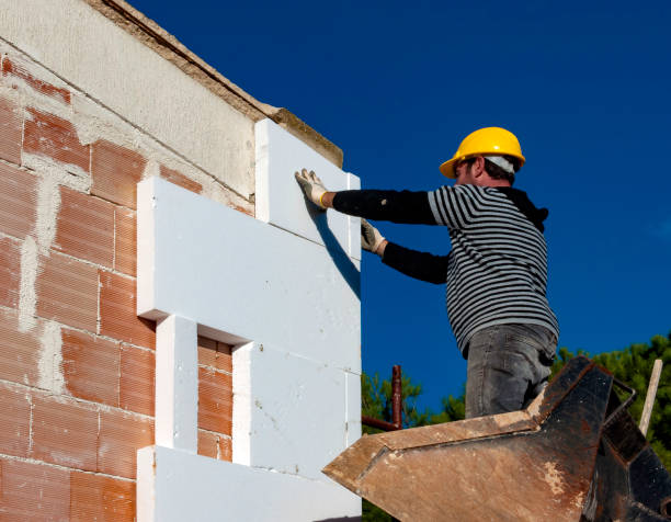 Professional Insulation Contractor in Ferguson, MO