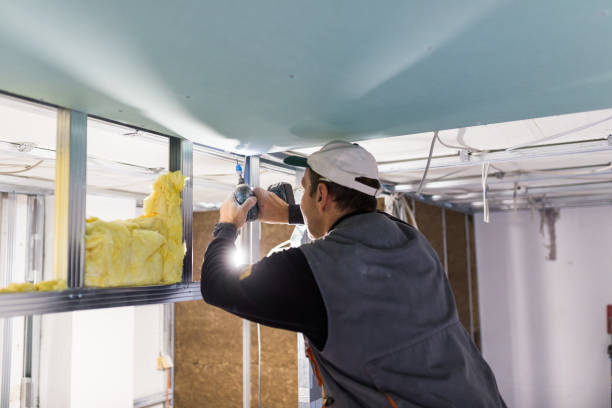 Best Cellulose Insulation in Ferguson, MO