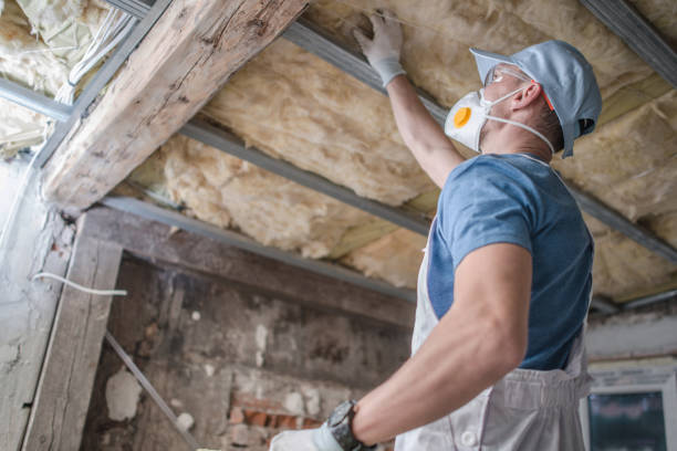 Best Geographic-Specific Insulation Services in Ferguson, MO