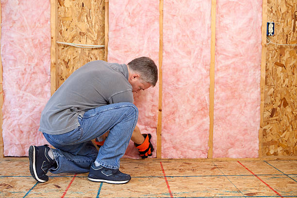 Best Specialized Insulation Services in Ferguson, MO