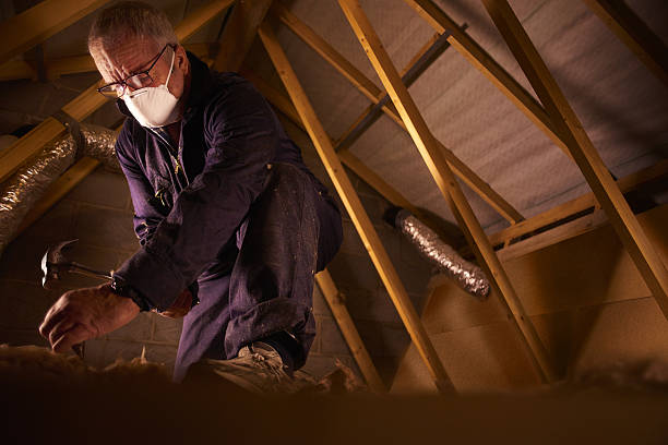 Types of Insulation We Offer in Ferguson, MO